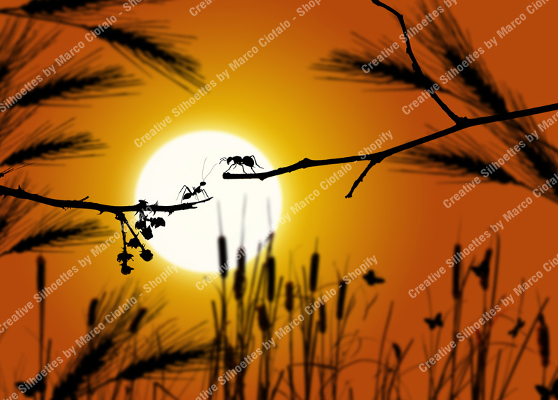 Ants Love - A beautiful sunset. Two ants on a branch of a tree. Some ears of wheat and some butterflies. Warm colors - Creative Silhouettes by Marco Ciofalo Digital Images, Illustrations, Artworks for sale. Immediate download