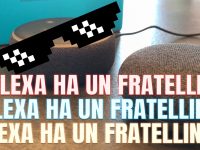 E’ arrivato Echo Show 8 Alexa & Google Home having a conversation Dialogo tra assistenti virtuali #2