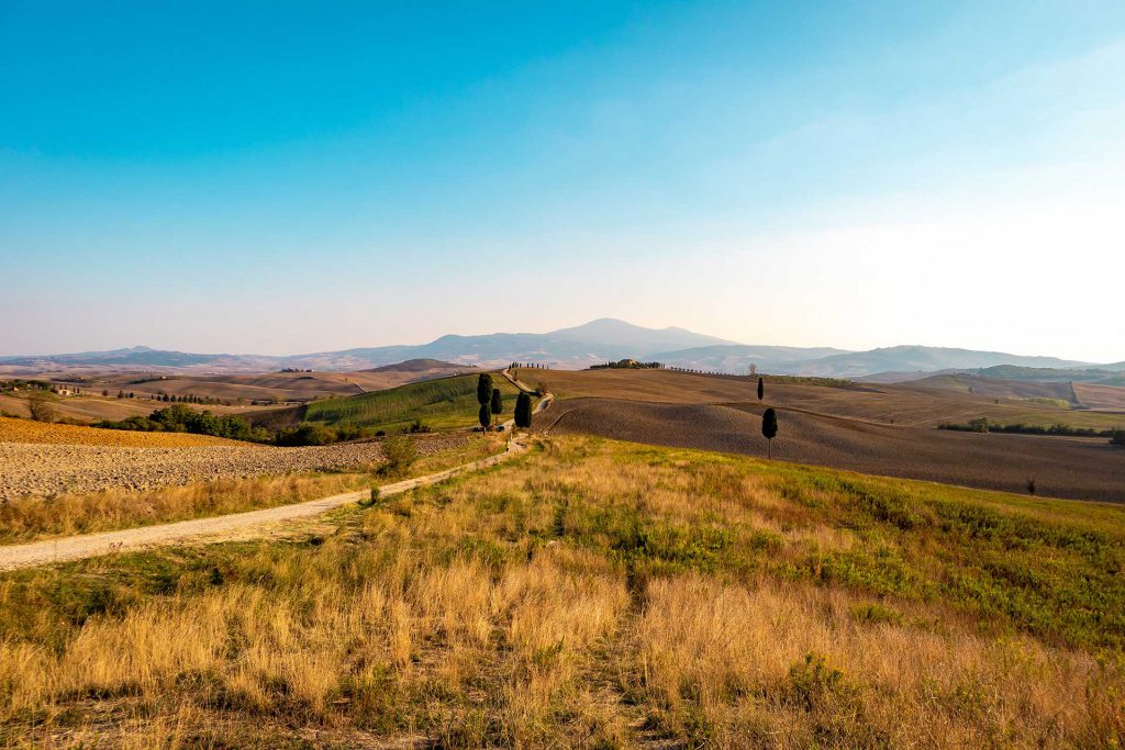 shooting in toscana, servizio fotografico in val d'orcia, pienza, san quirico, montepulciano, vitaleta, fotografo marco ciofalo